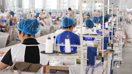 夏津 要素 服務(wù) 雙輪驅(qū)動(dòng) 為企業(yè)創(chuàng)新發(fā)展賦能